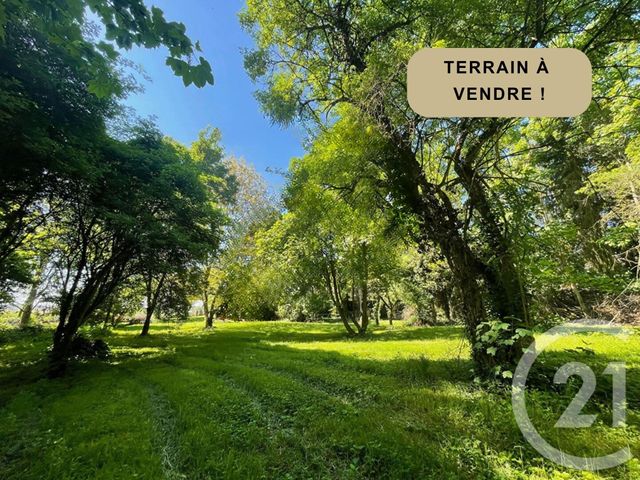 terrain - ITTENHEIM - 67